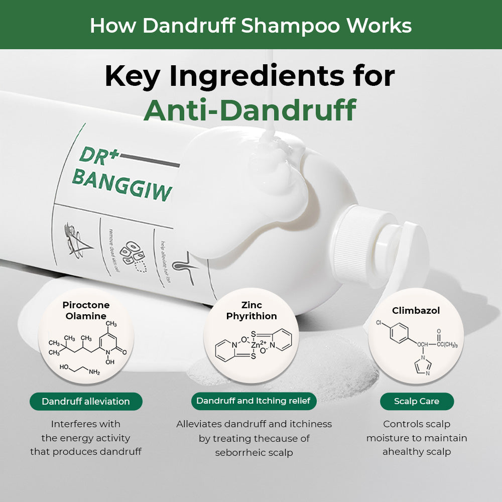 DR.BANGGIWON Dandruff Shampoo for Anti-Hair Loss 1000ml